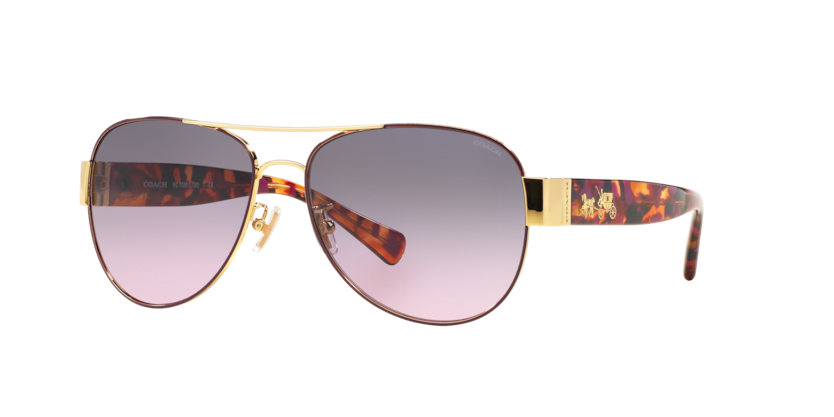 Coach HC7059 L138 Sunglasses