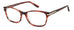 Juicy Couture Ju 234/g Eyeglasses