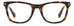 Polaroid Pld D511 Eyeglasses