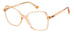 Polaroid Pld D525 Eyeglasses