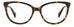 Polaroid Pld D504 Eyeglasses