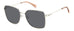 Polaroid Pld 4158/g/s/x Sunglasses