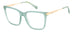 Polaroid Pld D528 Eyeglasses