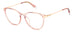 Polaroid Pld D489/g Eyeglasses