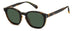 Polaroid Pld 6203/cs Sunglasses