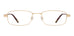 Fossil Rusty Eyeglasses