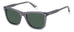 Polaroid Pld 4167/s/x Sunglasses