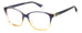 Polaroid Pld D466 Eyeglasses