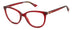 Polaroid Pld D504 Eyeglasses