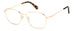 Polaroid Pld D454/g Eyeglasses