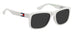 Tommy Hilfiger Th 1556/n/s Sunglasses