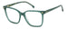 Carrera 3011 Eyeglasses