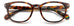 Polaroid Pld D453 Eyeglasses