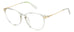 Polaroid Pld D489/g Eyeglasses