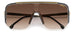 Carrera 1060/s Sunglasses