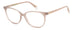 Polaroid Pld D487 Eyeglasses