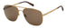 Fossil Fos 2143/g/s Sunglasses