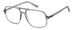 Polaroid Pld D527 Eyeglasses