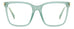 Polaroid Pld D528 Eyeglasses