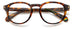 Polaroid Pld D452 Eyeglasses