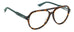 Polaroid Pld D540 Eyeglasses