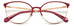 Polaroid Pld D443 Eyeglasses