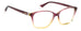 Polaroid Pld D466 Eyeglasses