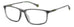 Polaroid Pld D535/g Eyeglasses