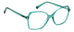 Polaroid Pld D525 Eyeglasses