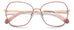 Polaroid Pld D539 Eyeglasses