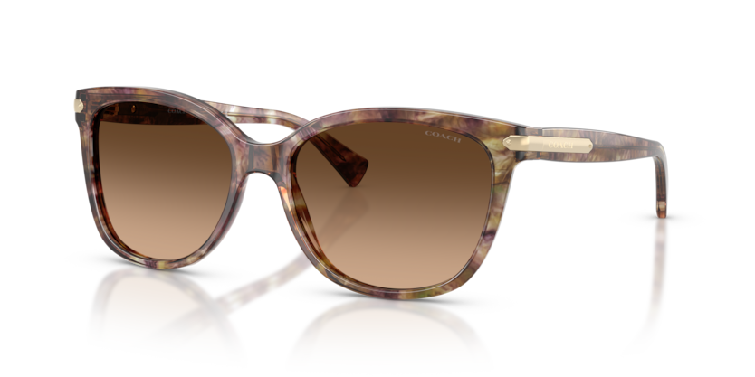 Coach HC8132 L109 Sunglasses