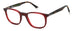 Polaroid Pld D424 Eyeglasses