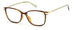 Polaroid Pld D460/g Eyeglasses