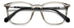 Polaroid Pld D563 Eyeglasses