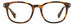 Polaroid Pld D453 Eyeglasses