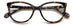 Polaroid Pld D504 Eyeglasses