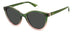 Polaroid Pld 4133/s/x Sunglasses