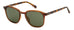 Fossil Fos 2145/s Sunglasses