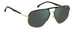 Carrera 318/s Sunglasses