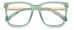 Polaroid Pld D528 Eyeglasses