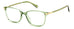 Polaroid Pld D460/g Eyeglasses