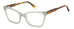 Polaroid Pld D520 Eyeglasses