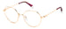 Polaroid Pld D490/g Eyeglasses