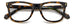 Polaroid Pld D511 Eyeglasses