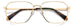 Polaroid Pld D538 Eyeglasses