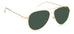 Carrera 2031T/s Sunglasses