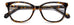 Polaroid Pld D560 Eyeglasses