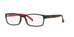 Polo PH2154  Eyeglasses